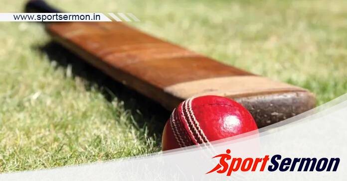 Step by Step Guide On How Cricket Bats Are Made  