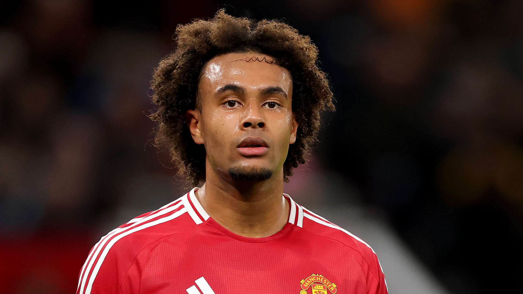 Juventus chief provides Zirkzee transfer update  