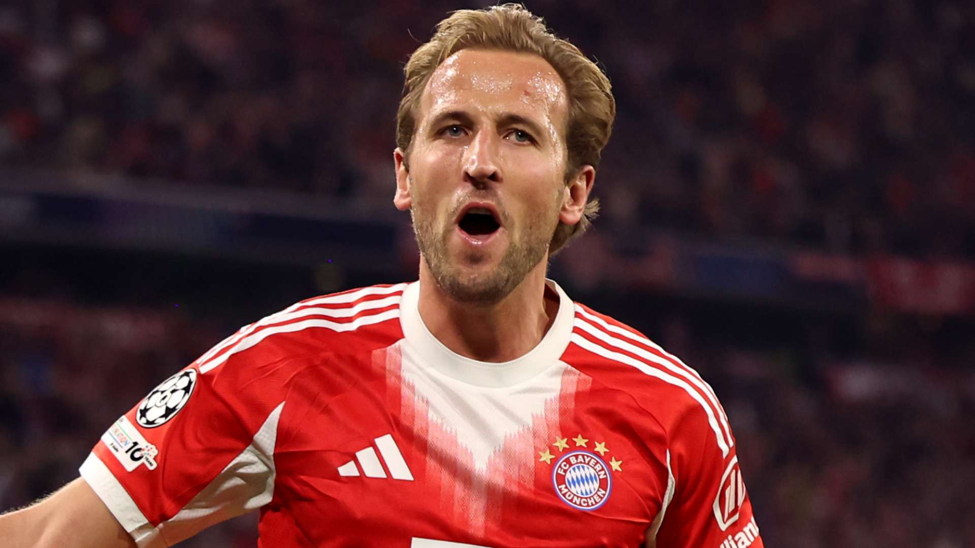 Transfer talk over? Kane tipped to remain at Bayern  ‘long time’  